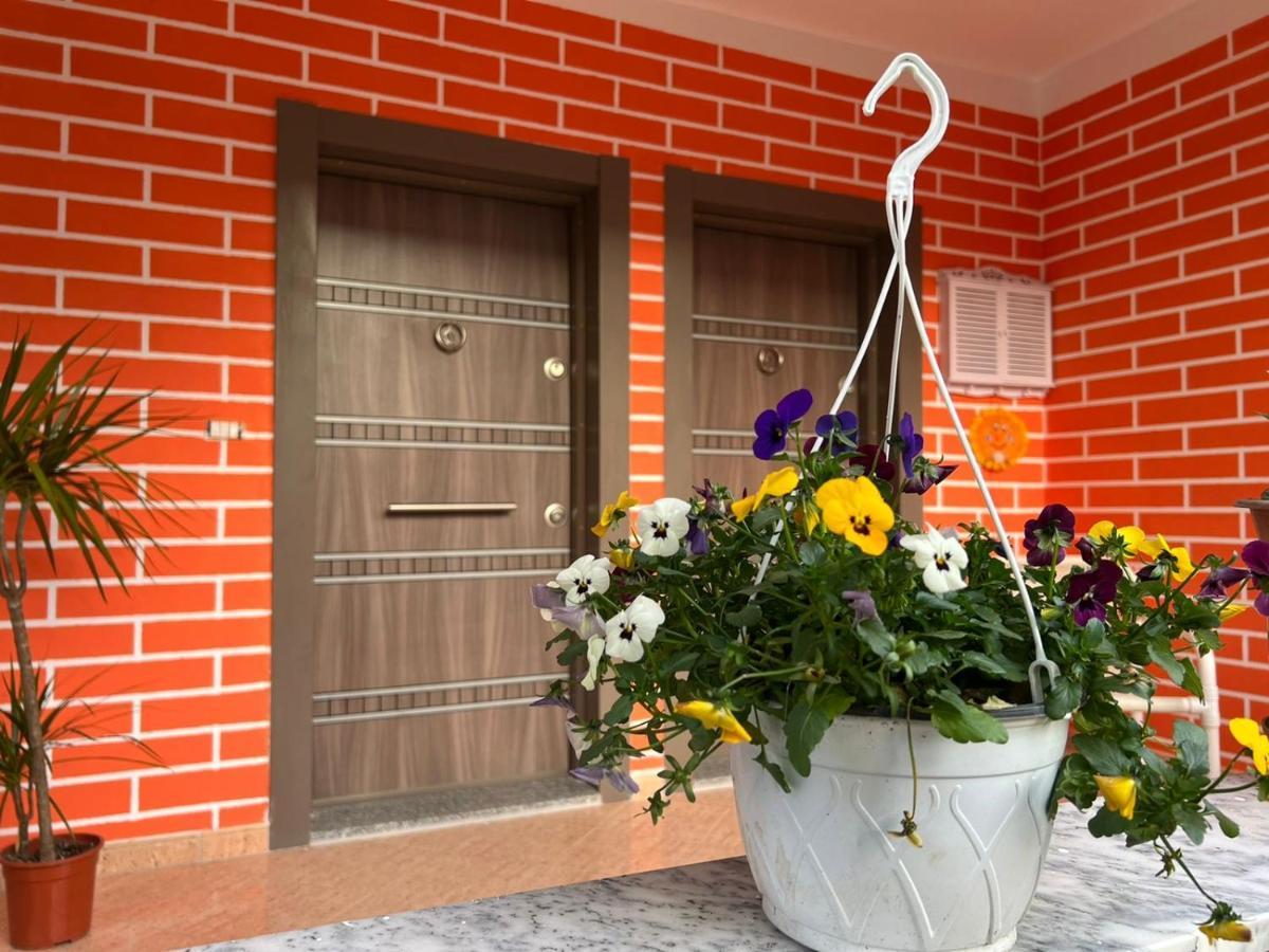 Chestnut Yard Villa Tirana Bagian luar foto